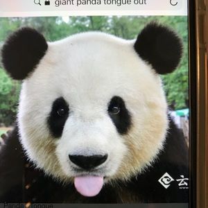 Meet your Posher, Sheila